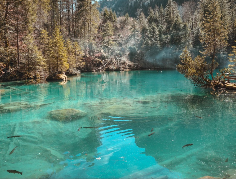 1653545608539824.jpg 4.jpg