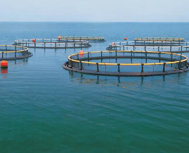 1658300874993695.jpg 養殖1.jpg