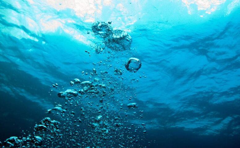 1682046784383274.jpeg 溶解氧.jpeg