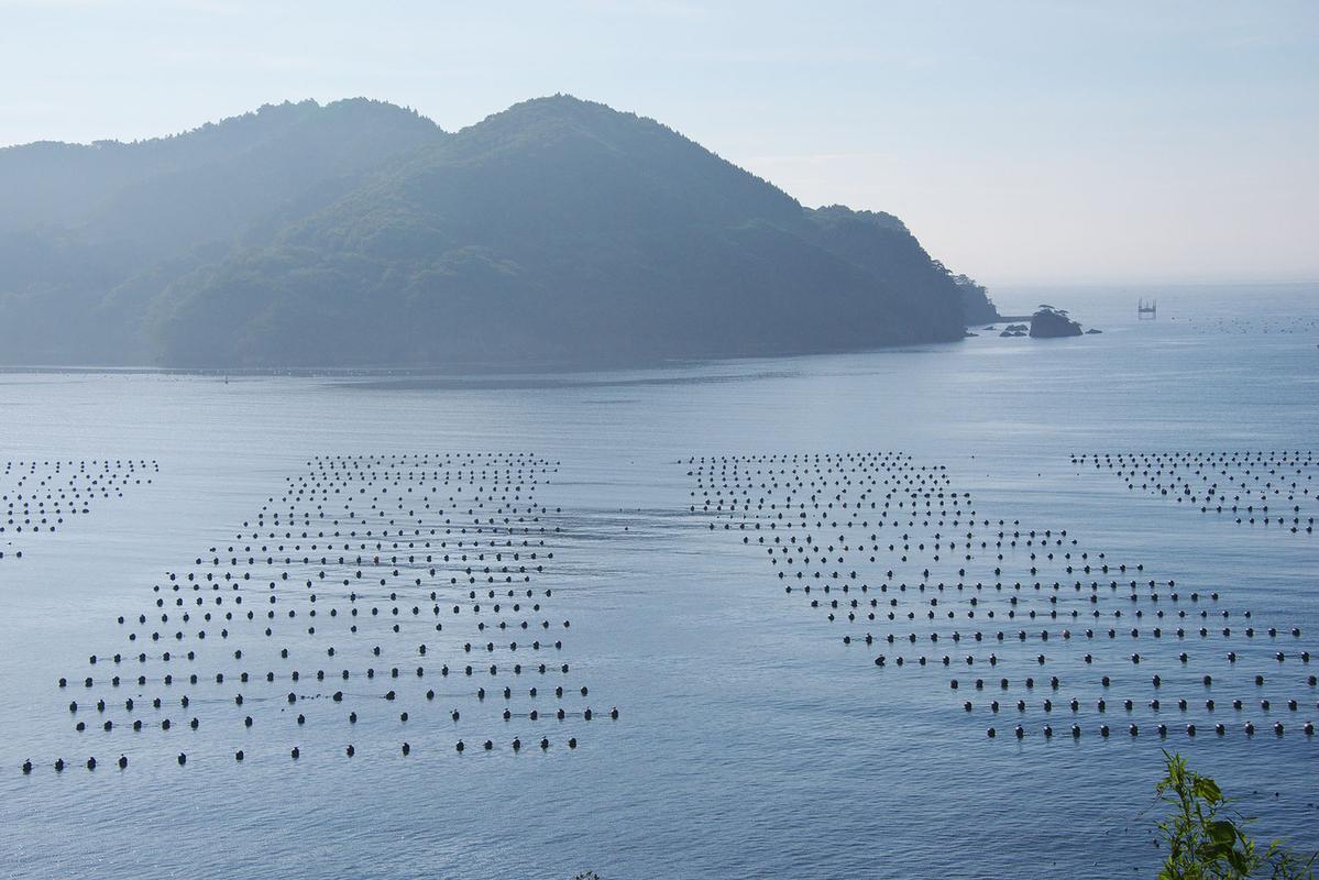 1688028199427677.jpeg 水產養殖 (2).jpeg