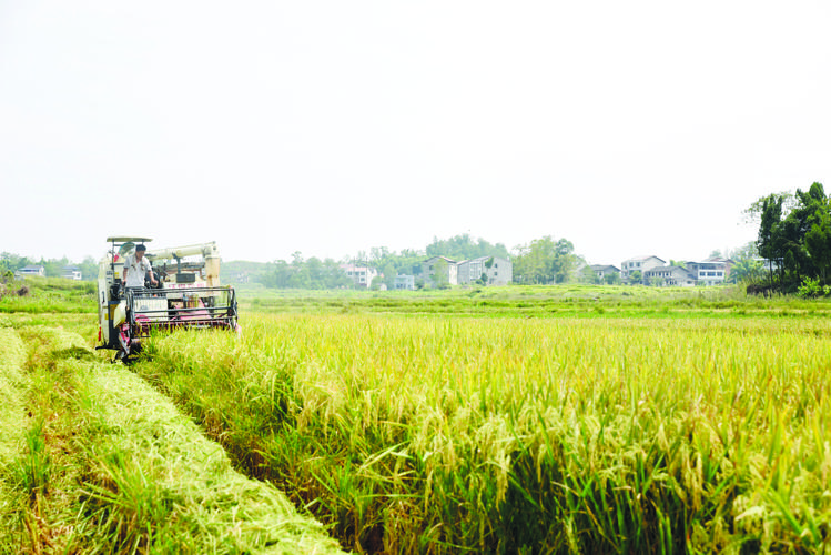 1729566606353053.jpeg 786bdd337c94dd5bc45600932c1c496f_1729565762302781.jpeg