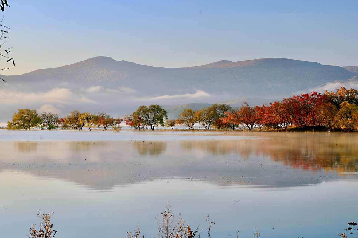 1731389095688351.jpg 1731389095688351.jpg