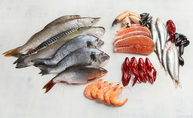 1758594515395710.jpeg 水產養殖.jpeg