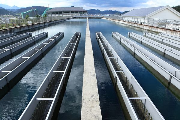 1766369333899738.jpg 5d3b0eaedb5a421b555ca3fd910bd5ac_1766024126507693.jpg